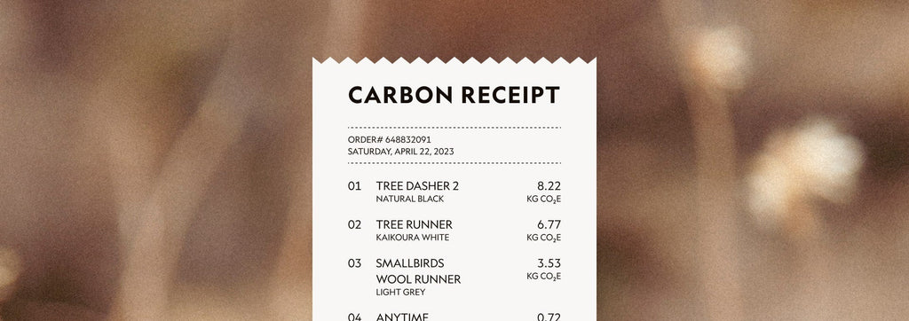 Flight Status Press Release